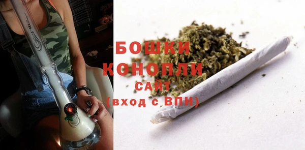 индика Баксан