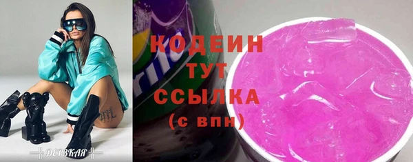 индика Баксан