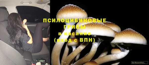 стаф Балахна