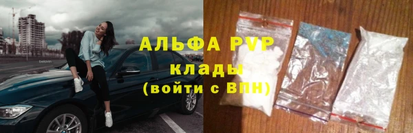 индика Баксан