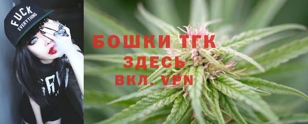 стаф Балахна