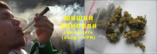 стаф Балахна