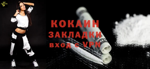 индика Баксан