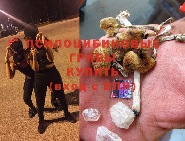 индика Баксан