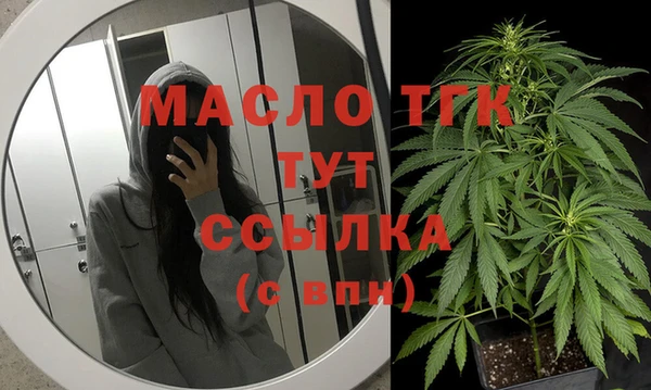 индика Баксан