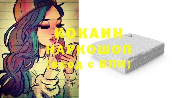 индика Баксан