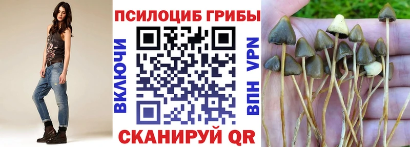Галлюциногенные грибы Psilocybine cubensis  Узловая 